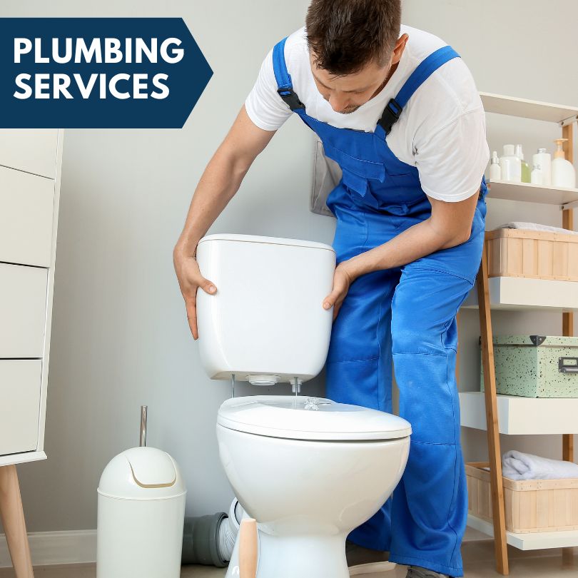 Plumbing Company in Somerset Center, MI